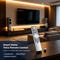 Control Remoto por Voz de 33 Teclas, Control Remoto Inalámbrico USB IR 433MHz RF, OEM ODM Personalizado