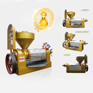 Máquina Prensa de Aceite de Girasol para Pequeñas Empresas, Prensa de Tornillo para Aceite, Máquina de Aceite de Coco - Product Image 3