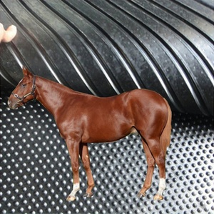 وسادة مطاطية احترافية مضادة للتعب ، اسطبلات حصان ، حظائر الماشية ، خدمة قطع قابلة للتخصيص - Product Image 1