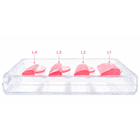 Pads auto-adhésifs pour rehaussement de cils coréen, logo personnalisé, tiges adhésives pour rehaussement de cils coréen en V, boucliers en gelée sans colle à la cystéine