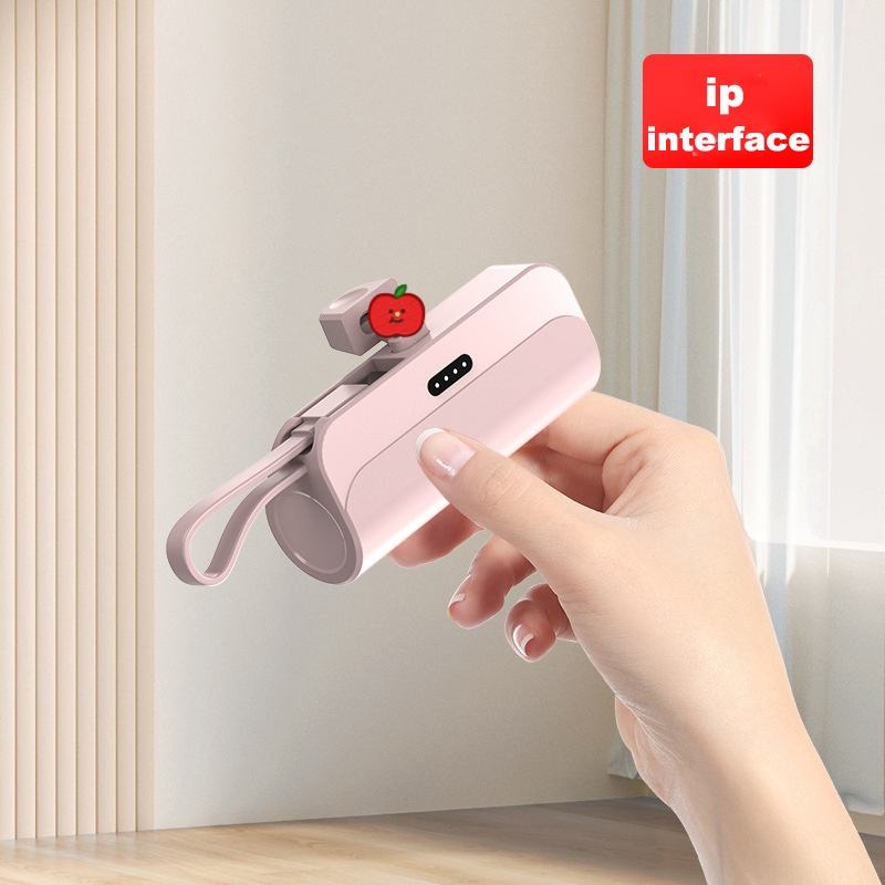 ip interface(pink)