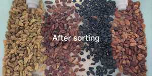 Wenyao Trieuse chromatique à 5 chutes de qualité supérieure, grande capacité, livraison rapide, pour fruits frais et secs (noix, raisins secs) - Product Image 6