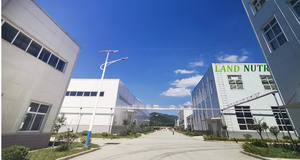 Proteine del Siero di Latte Isolate in Polvere ad Alto Valore Nutritivo Gusto Cioccolato e Menta Integratore Sportivo per Palestra - Product Image 6