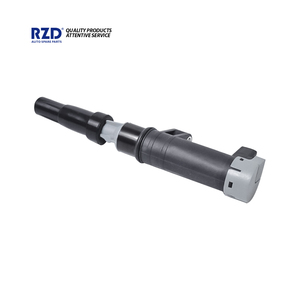 Piezas de motor automático 8200380267 bobina de encendido para Renault <span class=keywords><strong>Laguna</strong></span> 2002 Opel - Product Image 2