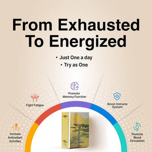 OEM ODM Label pribadi <span class=keywords><strong>Ginseng</strong></span> akar pil meningkatkan nafsu makan meningkatkan berat badan suplemen Gut kesehatan <span class=keywords><strong>Ginseng</strong></span> kapsul - Product Image 5