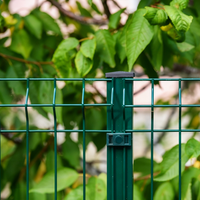Clôture de jardin, fournitures pour bâtiments de jardin, matériaux métalliques d'extérieur, maille de fil d'acier soudée incurvée en 3D, panneau de clôture de jardin