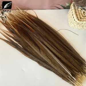 Piume di coda di fagiano anello (Ringneck) naturali all'ingrosso, lunghezza 10-80 cm (4-32 pollici), per decorazioni fai da te - Product Image 5