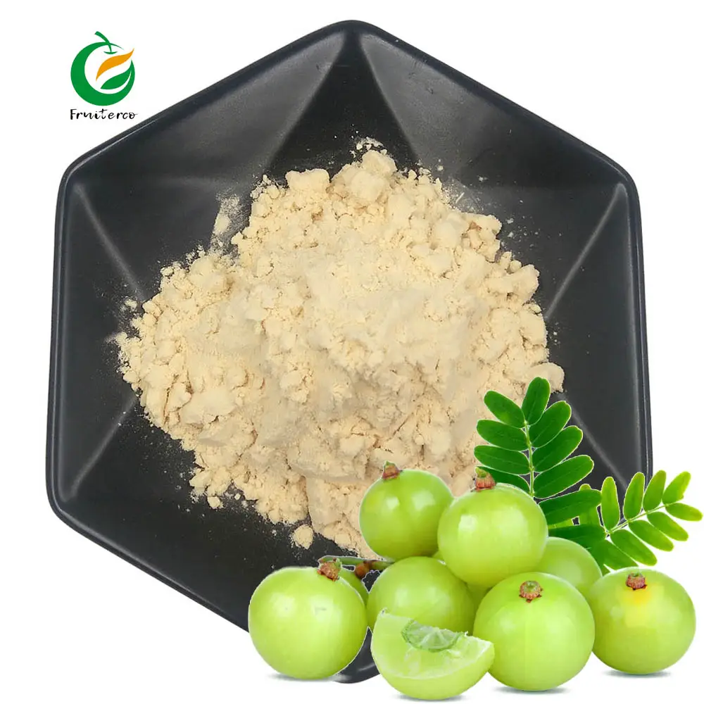 Fábrica Abastecimento UE Organic Certified Natural Água solúvel Private Label Amla Berry Extract Em Pó