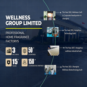 <span class=keywords><strong>Diffuseur</strong></span> d'aromathérapie électrique en verre personnalisable, fraîcheur longue durée, capacité 500 ml, pour maison, hôtel, chambre, ensemble <span class=keywords><strong>diffuseur</strong></span> à bâtonnets - Product Image 6