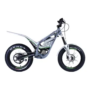 尼科高品质试用自行车风格48v趣味自行车摩托车技能和特技