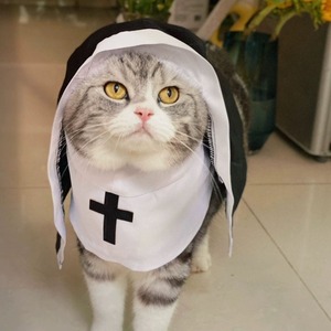 JOYPET-Costume de chat, <span class=keywords><strong>chaton</strong></span>, chiot, accessoires amusants, <span class=keywords><strong>pour</strong></span> petit animal de compagnie, costume d'<span class=keywords><strong>Halloween</strong></span> - Product Image 2