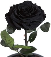 UKIQUEEN Vente en gros Flor Eterna Preservada Dôme en verre Noir Rose éternelle unique avec longue tige