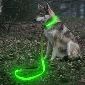 New Release USB Rechargeable LED <b>Dog</b> Leash Night Glow Dark <b>Light</b>-Up Feature 10 Hours Runtime Eco-Friendly Nylon Material Fashion - Product Image 1