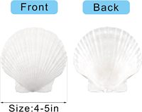 10 pièces grandes coquilles Saint-Jacques naturelles 4 ''-5'' grande coquille pour l'artisanat grands coquillages blancs en vrac pour les fêtes à thème océanique