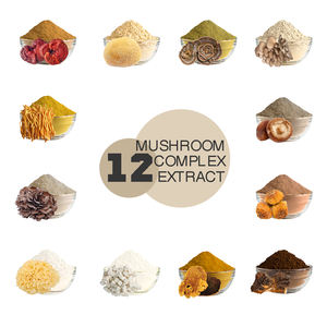 Label OEM Grosir Label Pribadi Kualitas Tinggi 12 Dalam 1 Ekstrak Jamur Bubuk Campuran Suplemen Herbal Cina - Product Image 6