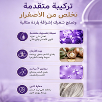 Shampoo violet de luxe à marque privée pour cheveux blonds, anti-jaunissement, tonifiant, sans sulfate, violet argenté