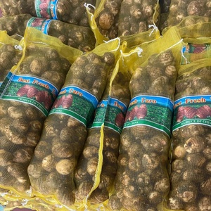 Sacos de malla de polietileno (PE) 100% nuevos de alta resistencia para uso agrícola, ideales para envasar ajo, jengibre, frutas, patatas, cebollas, naranjas y limones. - Product Image 2