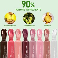Ochain Marque privée Logo personnalisé Brillant à lèvres Maquillage de luxe Longue durée Teinte pour les lèvres Repulpant Beauté liquide en gros