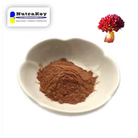 Poudre d'extrait de Rhodiola Rosea de qualité alimentaire extrait de racine de Rhodioloside partie coquille et racine utilisée conteneur de tambour en plastique emballé