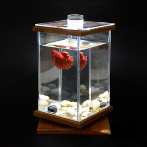 Uniek Ronddraaiend 360 Graden <span class=keywords><strong>Aquarium</strong></span> Met Glazen Vierkante Pot-Klein Betta <span class=keywords><strong>Aquarium</strong></span> <span class=keywords><strong>Aquarium</strong></span> Voor Thuiskantoordecoratie - Product Image 3