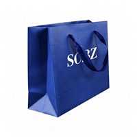 Sac cadeau en papier pour petits bijoux de qualité supérieure avec poignée en ruban, emballage cosmétique biodégradable pour boutique