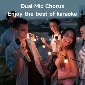 Reproductor de Karaoke ZEALOT S78 para Regalo de Cumpleaños, Fiesta Familiar, Compatible con Altavoz y 2 Micrófonos - Product Image 5