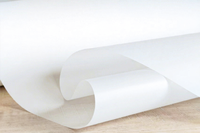 HyperTransprint - Lámina DTF A3 de 30 cm, Película PET de Doble Cara, Transferencia de Calor Instantánea a Alta Temperatura, Papel de Transferencia Térmica en Frío, Negro
