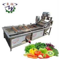 Commerciële Industriële Bubble Fruit Avocado Mango Groente Aardappel Wasmachine/Bevroren Groente Productielijn