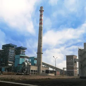 Coal Fired Biomass Power Plant with Complete Sets Equipment 50 MW, 100MW