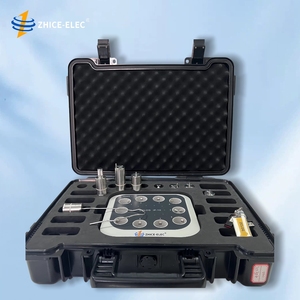 GMP Validation Autoclave Enregistreur de données Compteur de température sans fil Enregistreur de données de précision sans fil Sonde souple - Product Image 2