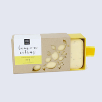 Boîtes d'emballage de savon liquide personnalisées en kraft, luxueuses et faites à la main, pour voyage