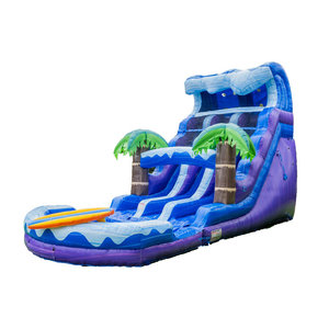 Glissière et glissière gonflables de glissière <span class=keywords><strong>d</strong></span>'<span class=keywords><strong>eau</strong></span> de double ruelle de <span class=keywords><strong>jeux</strong></span> extérieurs pour l'arrière-cour - Product Image 3
