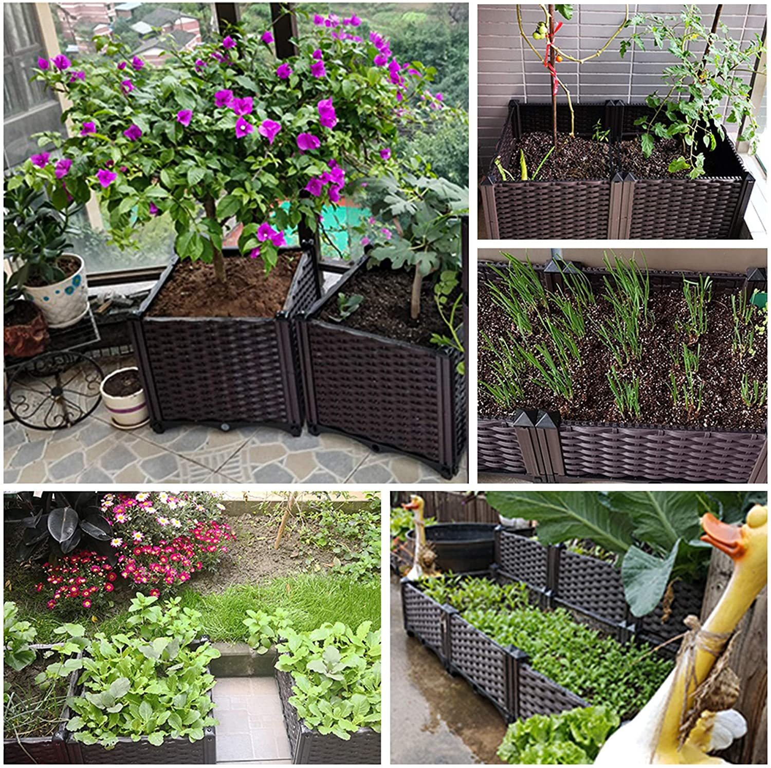 Rectangular Planting Row How to Choose the Best Rectangle Planter for Your Space