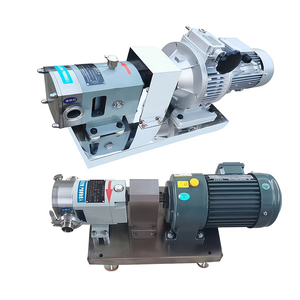 Pompe à rotor à lobes en acier inoxydable Ace sans moteur - Product Image 1