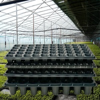 Baki Semai 105 Sel 120G Grosir 21/32/50/72/105/128/200 Sel Baki Semai Plastik PET Populer untuk Benih Tomat
