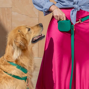 Set Guinzaglio e Pettorina per Cani in PVC, Impermeabile, Senza Trazione, Convertibile, Mani Libere, Cloud Lite 4-in-1 - Product Image 4