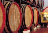 Vin sec italien Nero D'Avola rouge rubis profond DOC Alagna Vini Sicily Made Italy BAGLIO BAIATA ALAGNA 13% ABV Millésime 2022 Meilleur