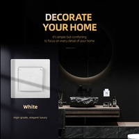 Prise murale étanche à la poussière IP44 intégrée avec prise de courant Earth 2P + T 16A avec obturateur blanc noir pour l'intérieur