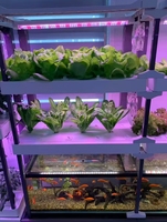 Système aquaponique hydroponique intelligent d'intérieur avec éclairage LED, pompe et réservoir d'eau pour légumes, fruits et fleurs