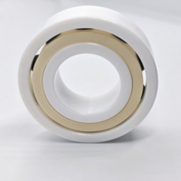 Roulements en céramique de zircone 7005 DF, roulements à billes à contact angulaire pour équipements de trempage chimique à l'acide