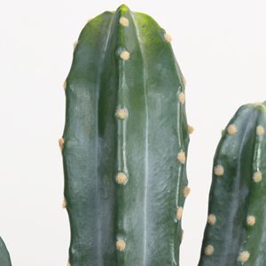 Cactus Artificial Dream Castle, Bonsái de 10cm-30cm, Plástico PU, Decoración Nórdica para el Hogar - Product Image 1