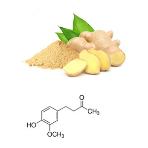 Hữu cơ <span class=keywords><strong>zingerone</strong></span> 98% CAS no. 122 hương vị & hương thơm phụ gia để sử dụng - Product Image 6