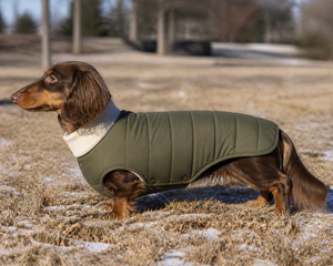 Abrigos acolchados sin mangas para perros, con ribete de lana para invierno, chaleco para perros con cuello alto para Schnauzer, perros pequeños y medianos - Product Image 1