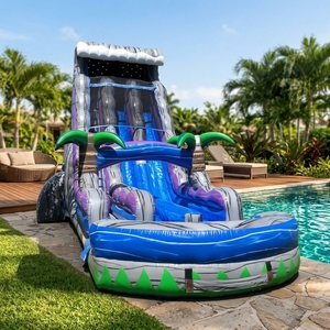Toboganes de agua inflables gigantes de 30 pies Tobogán de doble carril de palmera tropical de grado comercial con piscina de agua - Product Image 5