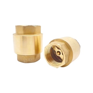 Válvula de Retención Vertical de Latón con Resorte, Manual, para Bombas con Conexiones BSP/NPT, Tamaño de Puerto de 1/2"-2" para Gas y Agua - Product Image 6