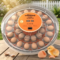 Nouvel incubateur électrique PP de petite taille pour usage agricole, avec taux d'éclosion de 98 %, retournement automatique des œufs, capacité de 30 œufs