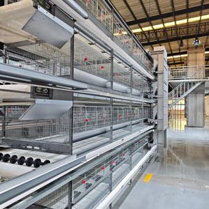 Equipo de Cría de Aves de Corral Portátil de Grado Comercial, <span class=keywords><strong>Jaula</strong></span> de Almacenamiento para Gallinas Ponedoras, <span class=keywords><strong>Jaula</strong></span> Automática para Pollos para Granjas Ganaderas - Product Image 1