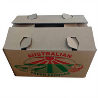 Emballage en carton ondulé pour légumes et fruits, prix de gros personnalisé, boîtes d'emballage avec trou de transport, doublure en éponge, dossiers