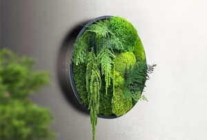 Vòng Tròn Bảo Quản Moss Tường Nghệ Thuật Bảng Điều Chỉnh Handmade Bằng Gỗ Trang Trí Hình Ảnh Màu Xanh Lá Cây Trang Trí Nội Thất Khung Moss Trang Trí Hoa Cây - Product Image 6