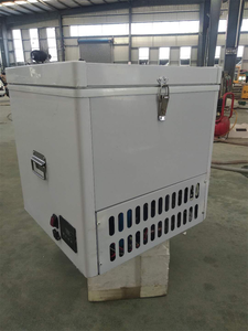 <span class=keywords><strong>Mini</strong></span>-réfrigérateur 48V pour <span class=keywords><strong>moto</strong></span> avec boîte de livraison, réfrigérateur mobile - Product Image 4